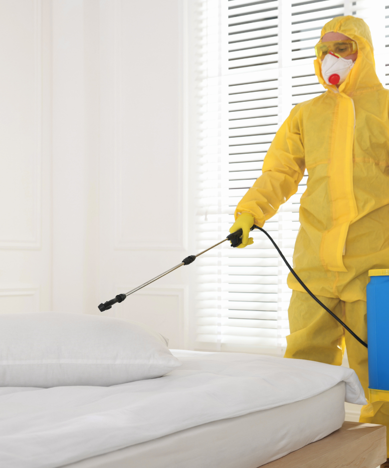 Professional Pest Control Team in Smithfield Plains